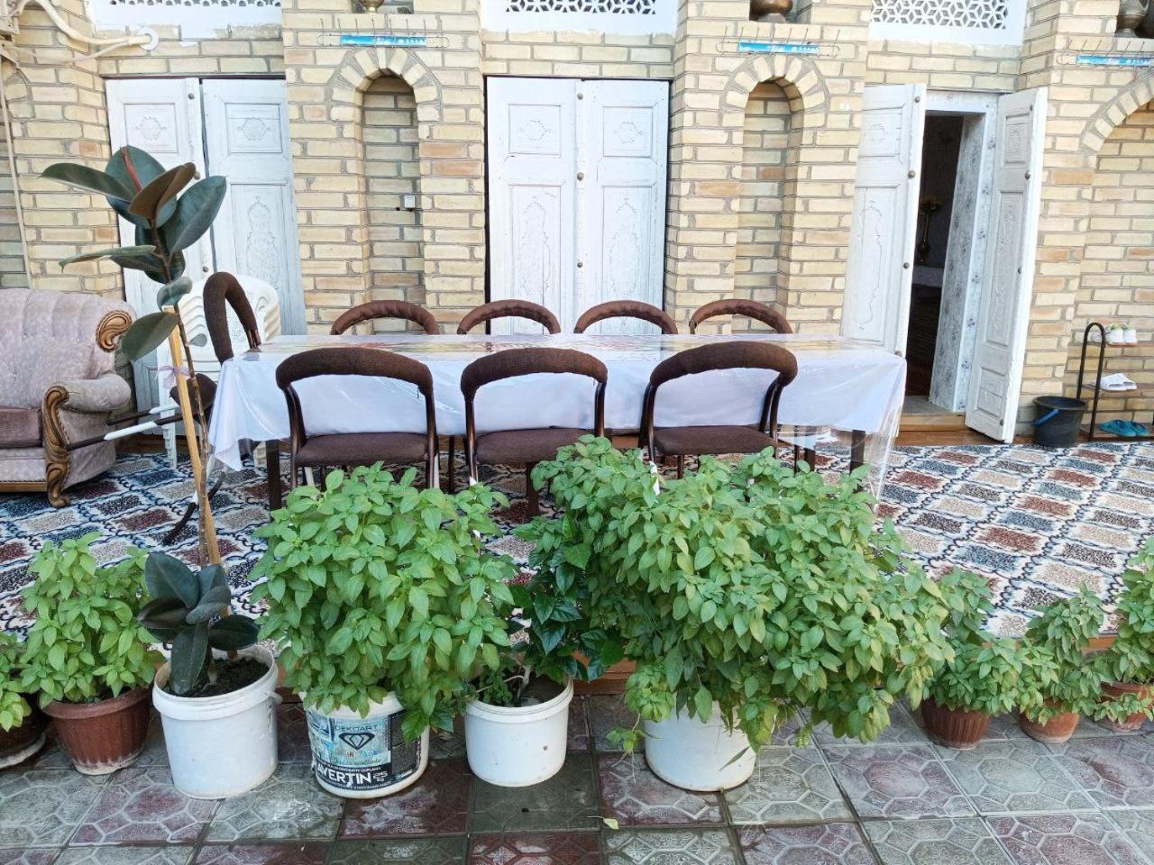 Sohibqiron Boutique Hotell Bukhara Eksteriør bilde